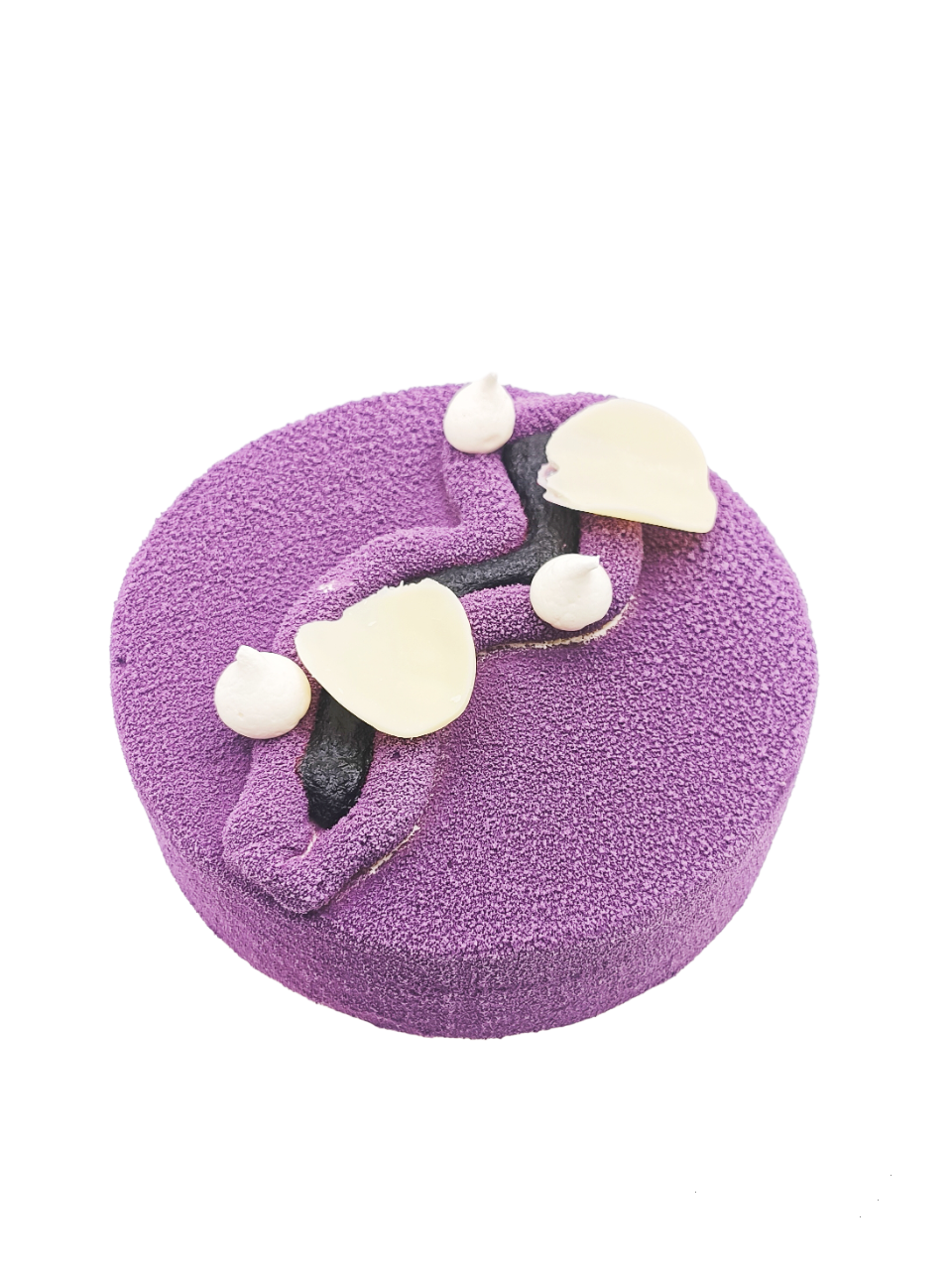 Entremet Madagascar